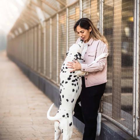 464431605 10231573447911053 1855740803226503388 n