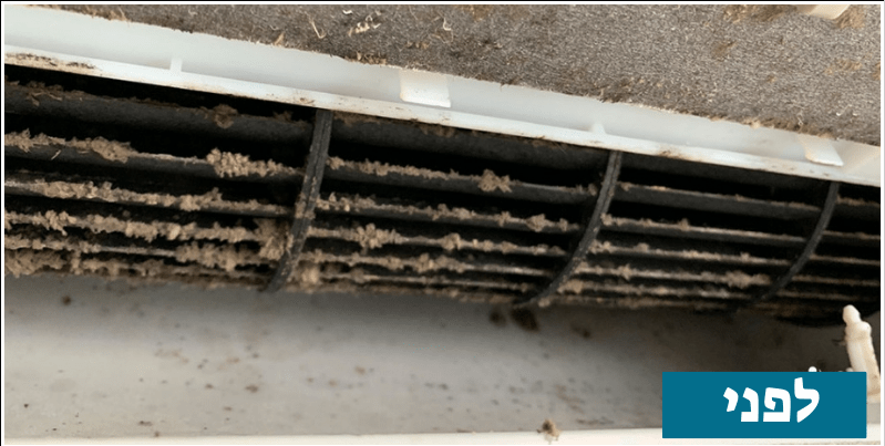 Untitled design 2025 05 05T114635.504